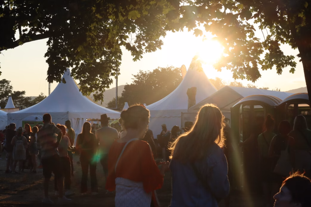 Donauinselfest Style Guide