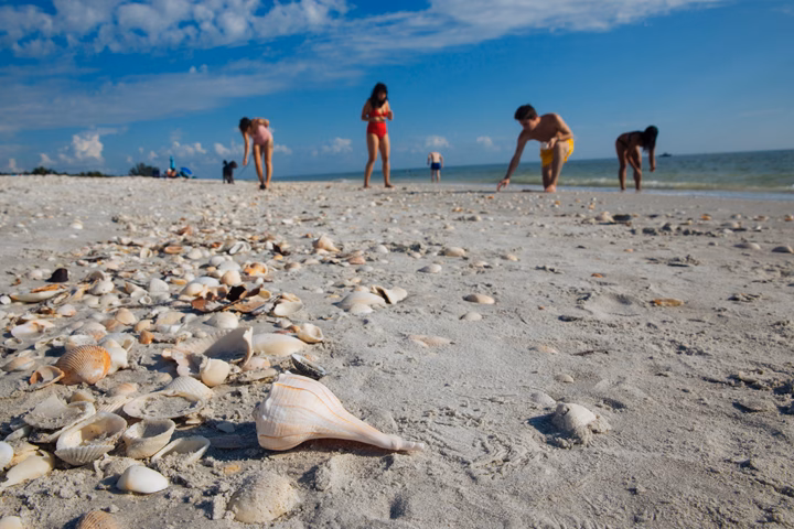 Sanibel