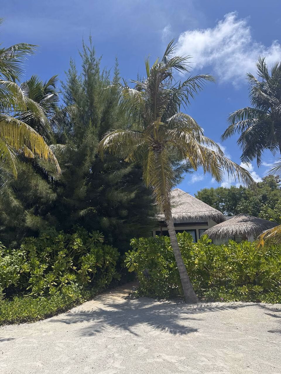 Hilton Amingiri Villa von außen