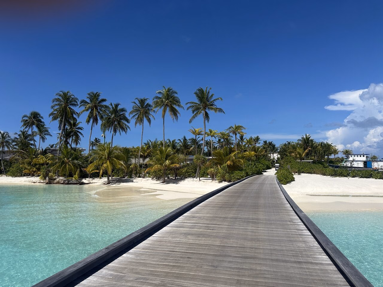 Vegetation SO/ Maldives Erfahrungen