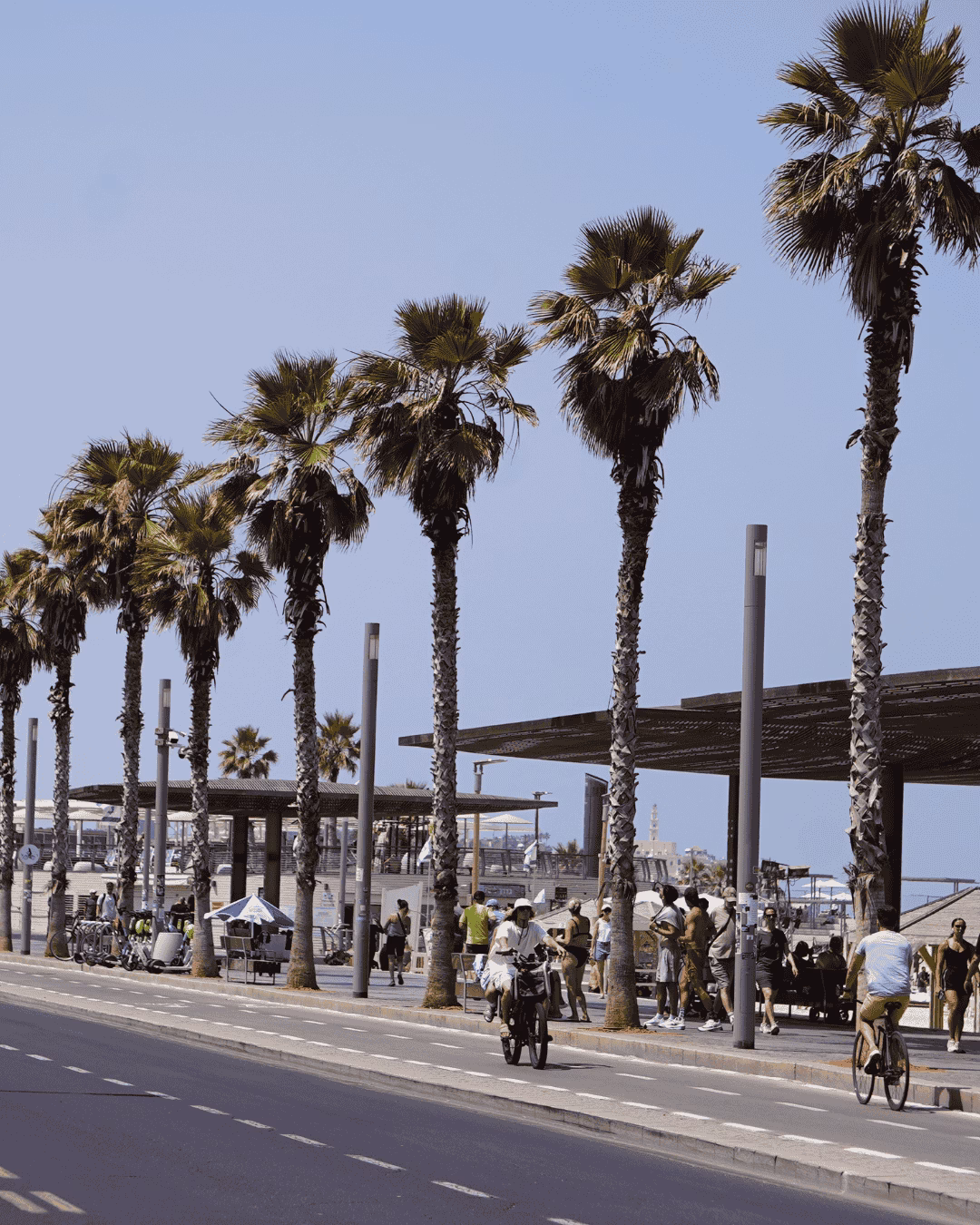 Israel Stadtszene TLV