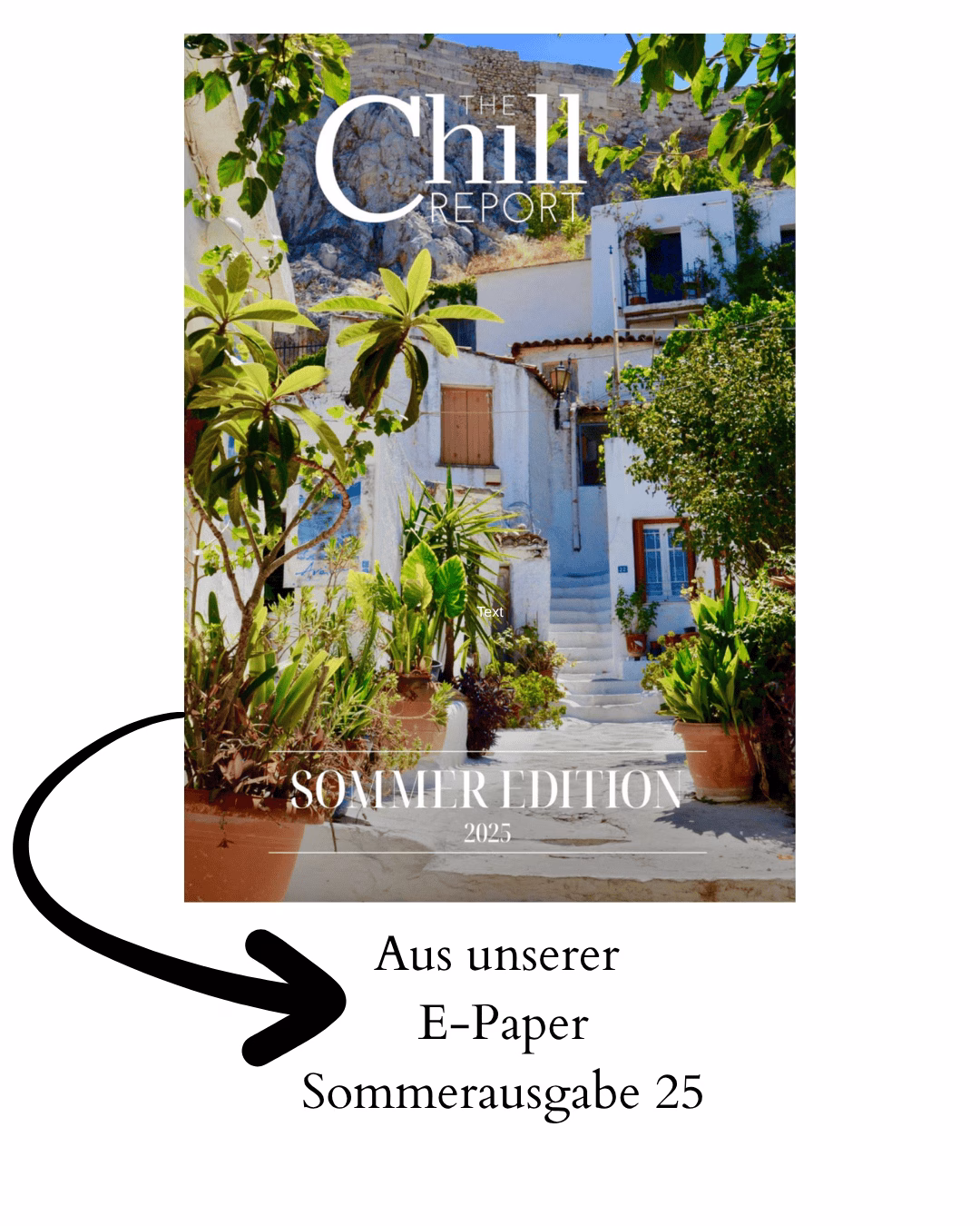 E-Paper Sommerausgabe