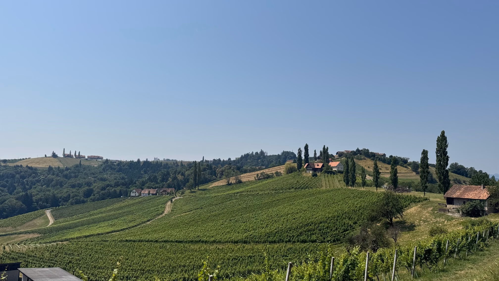 Weinwandern in der Südsteiermark - per e-Bike