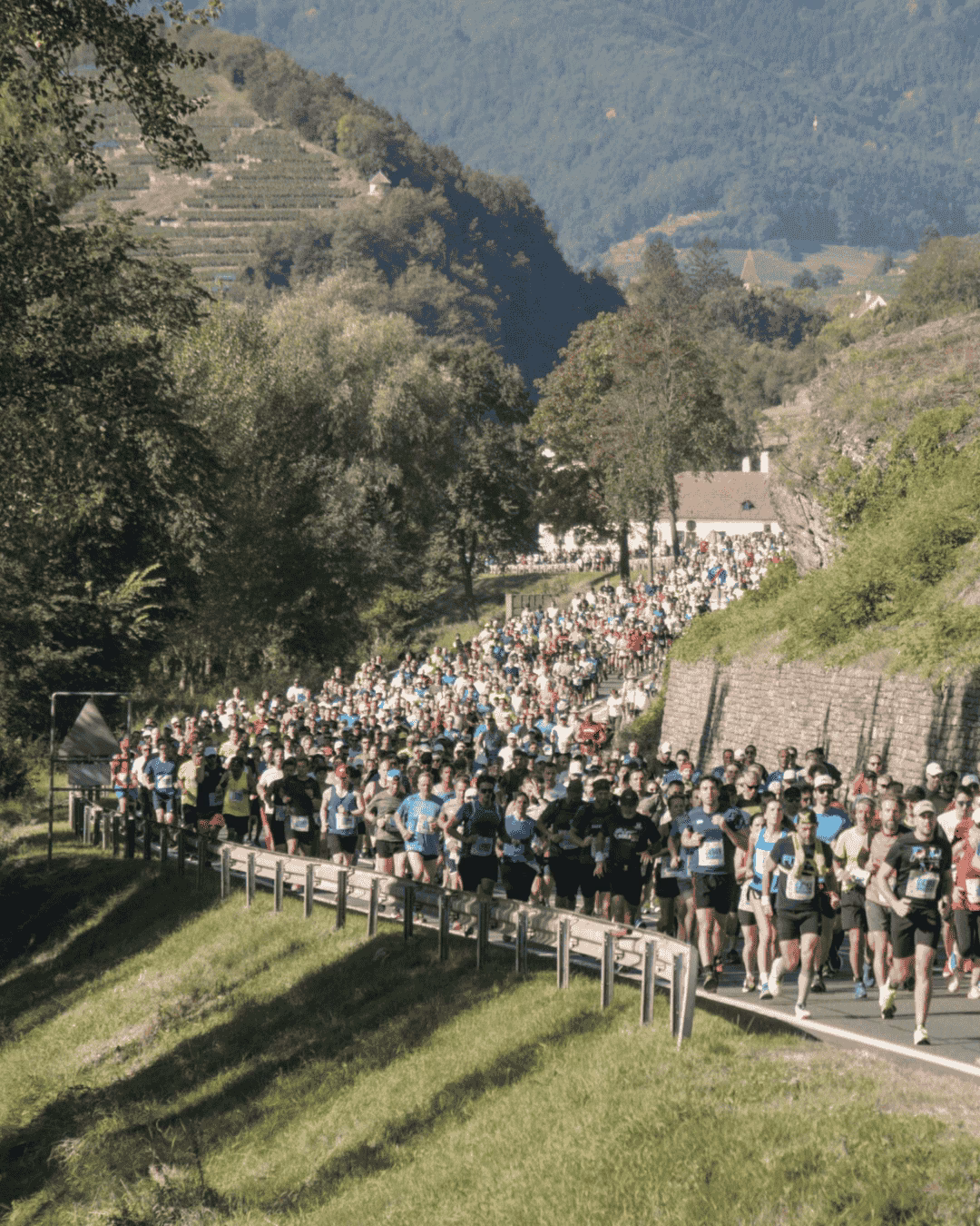 Wachau Marathon