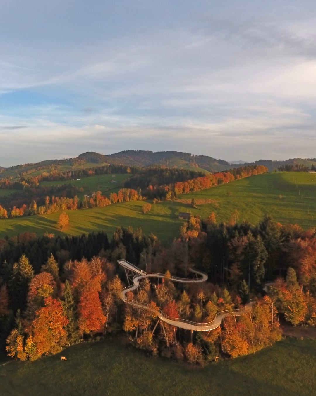 Baumwipfelpfad Schweiz
