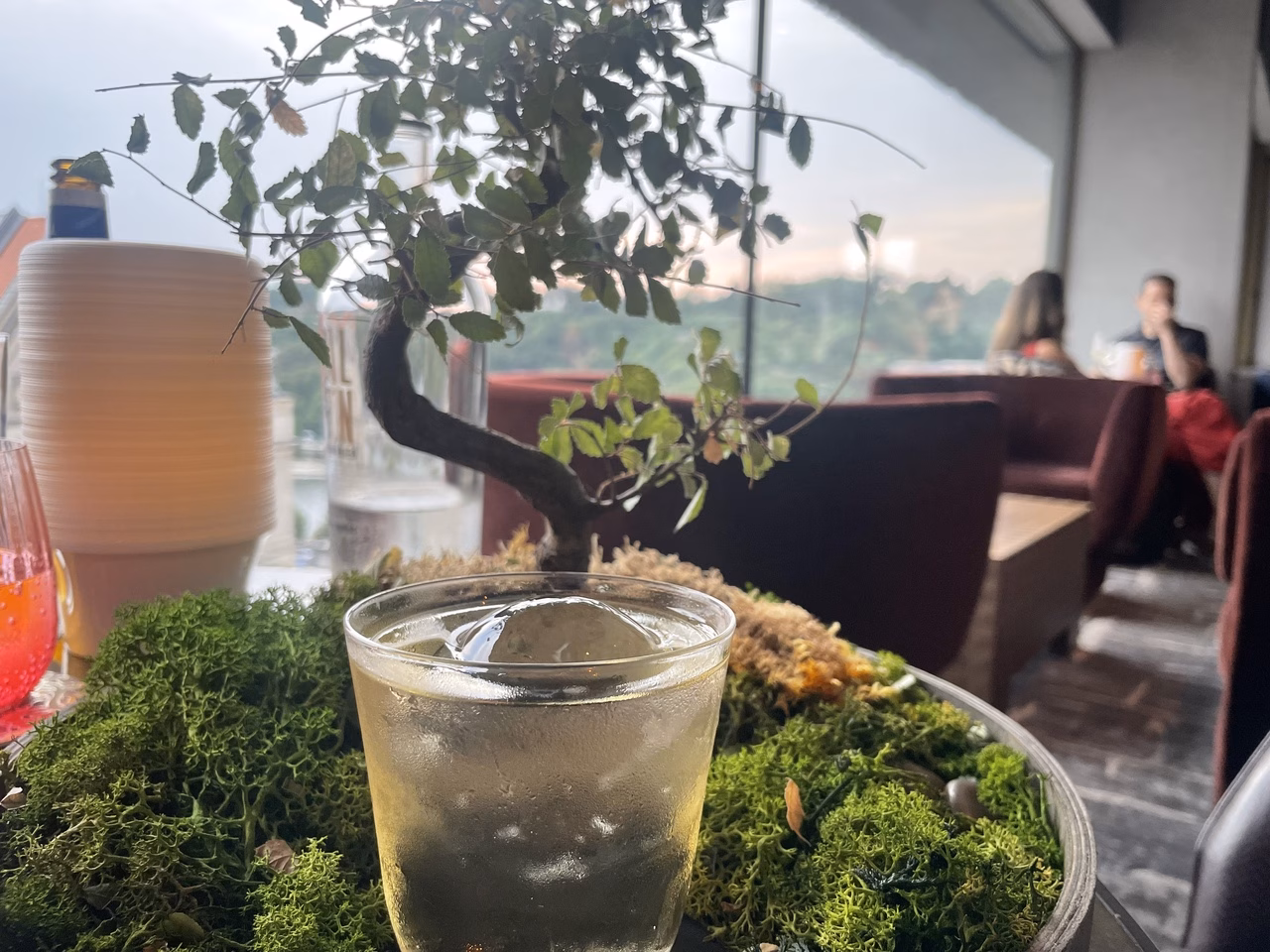 Drink mit Bonsai