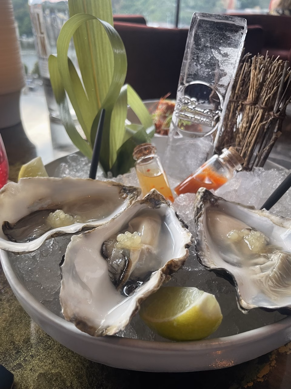 Happy Oysters