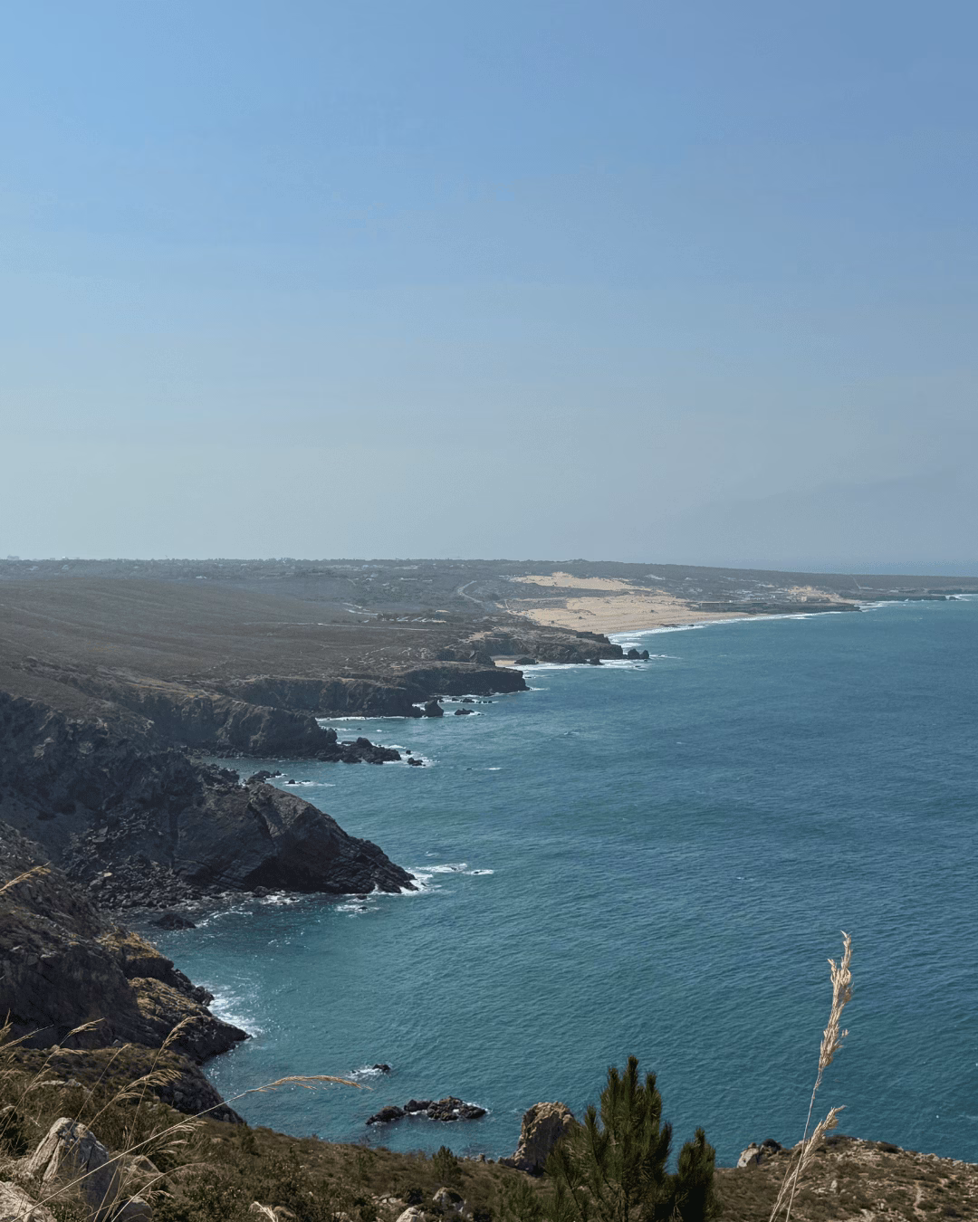 Sea of Cortes