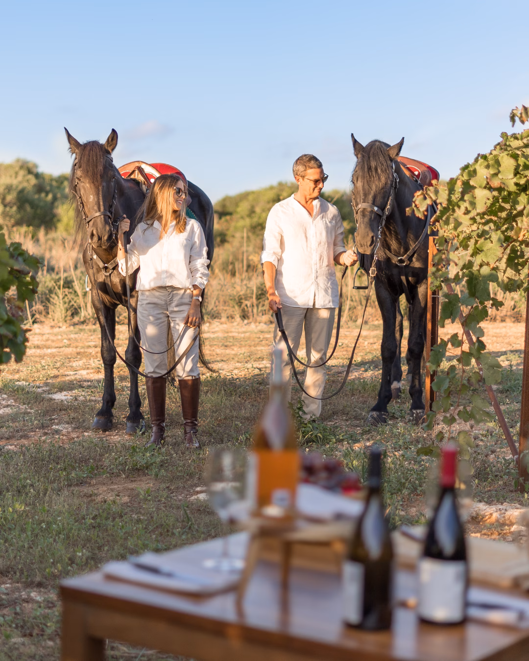 Weinprobe und Ausritt, Torralbenc
