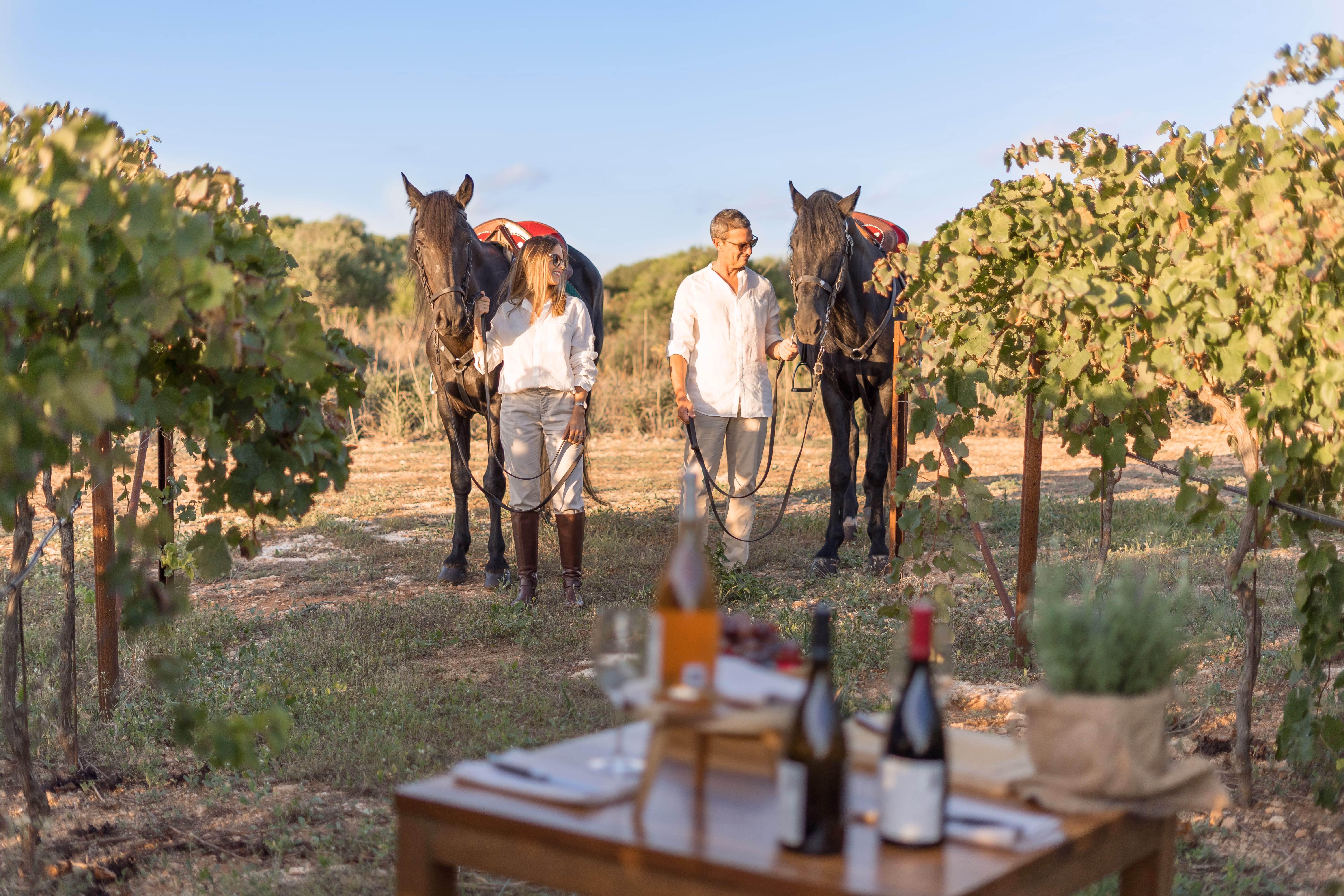 Weinprobe und Ausritt, Torralbenc