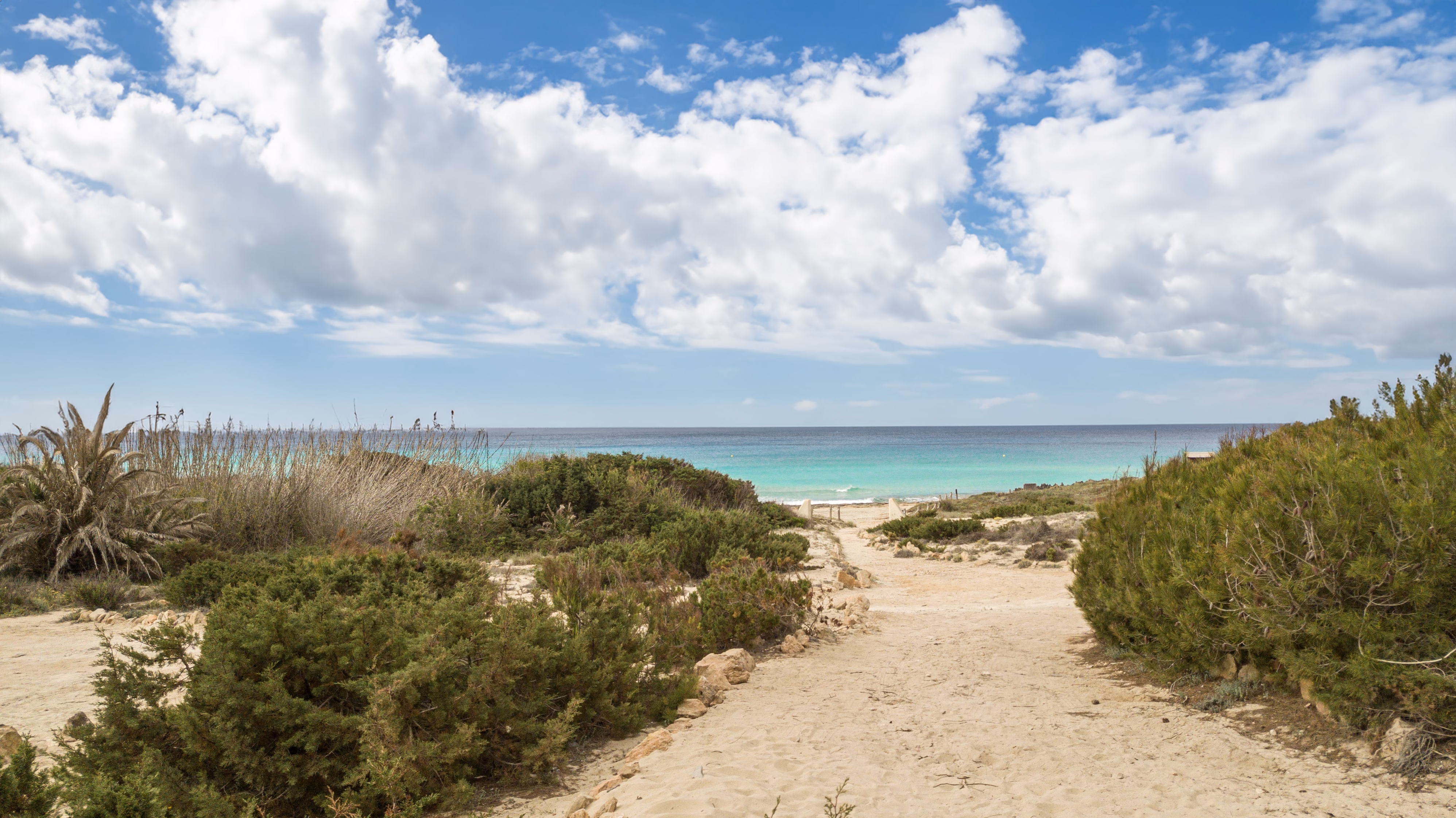 Dunas de Formentera Beach