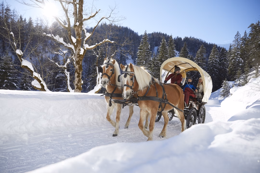 Pferdeschlittenfahrt im Schnee