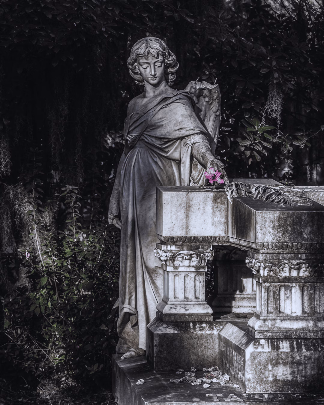 City für einen Halloween Trip Savannah Georgia