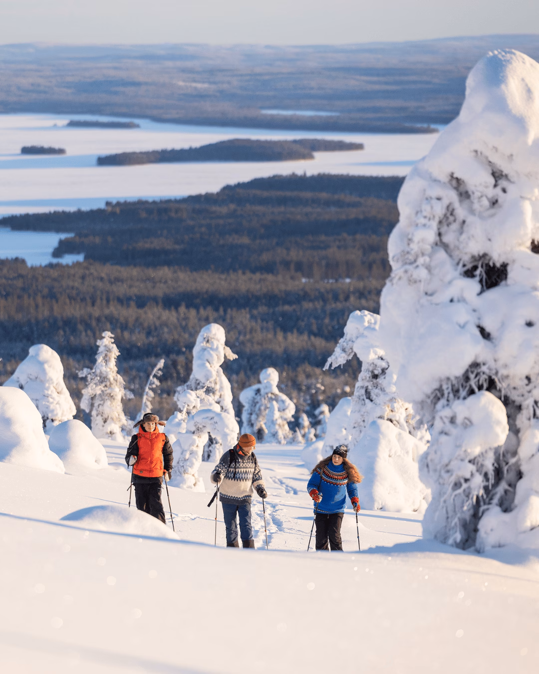 See the Northern Lights while winter hiking