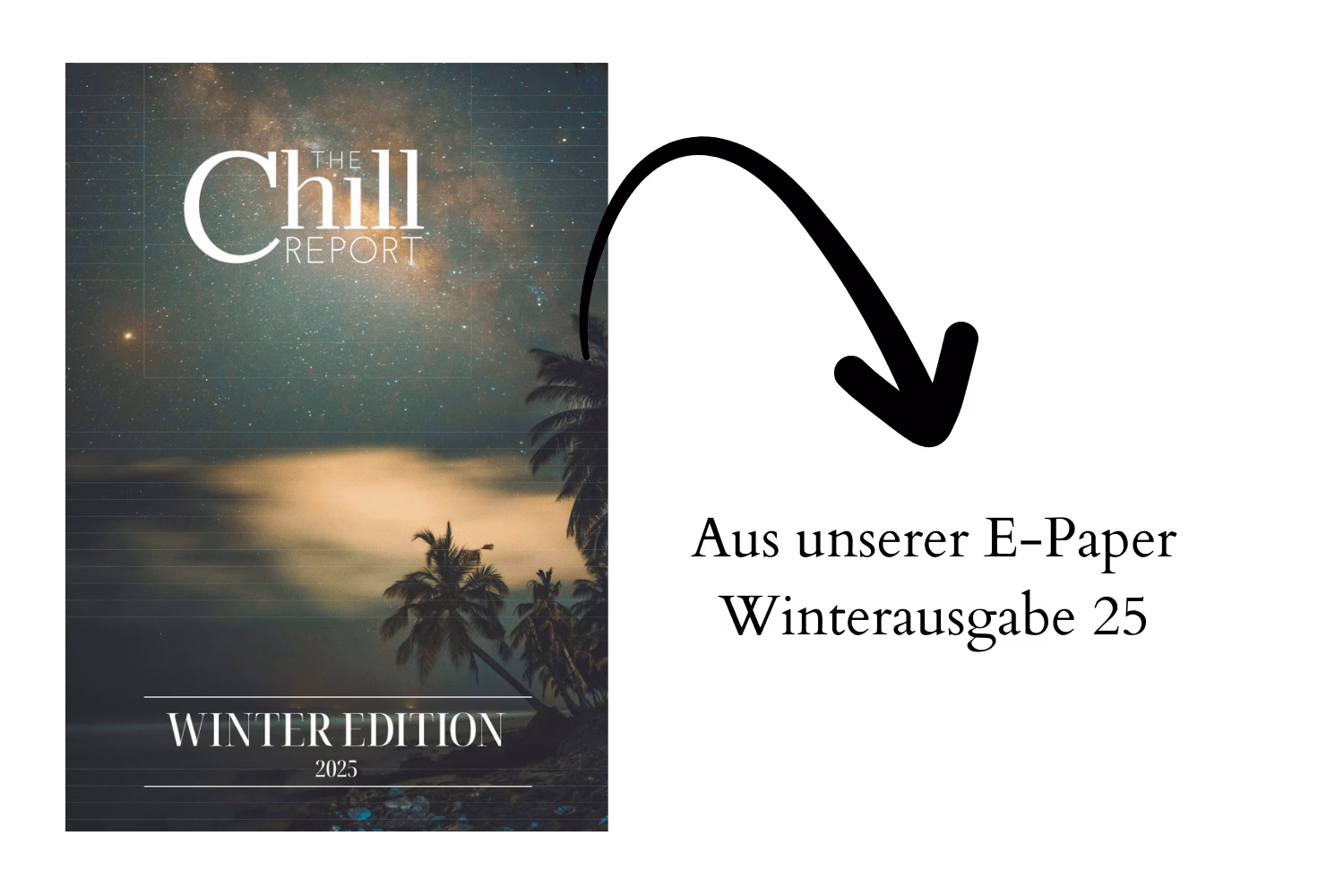 Winterausgabe Chill Report