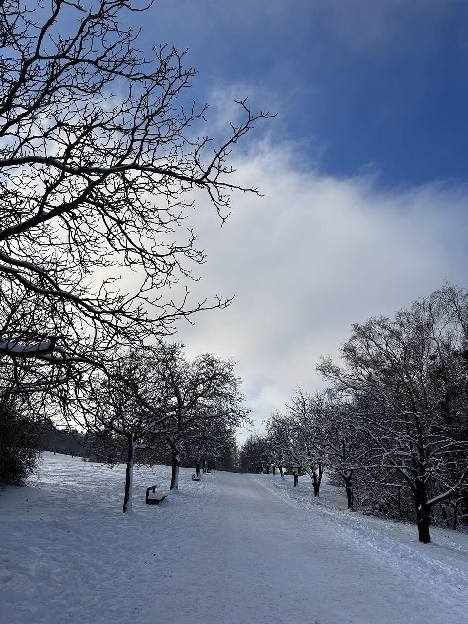 Winter Wien Steinhofgründe