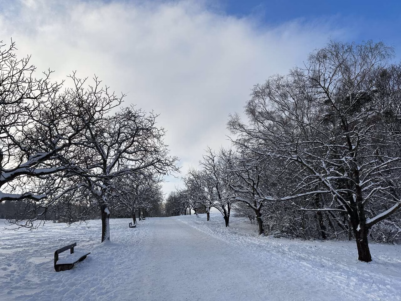 Winter Wien Steinhofgründe