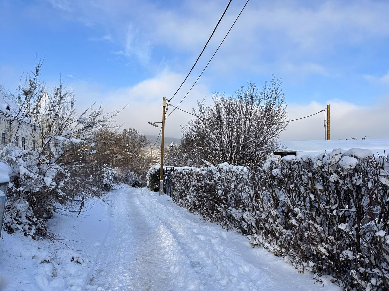 Hartlauer Schneewette 2025, Schnee in Wien