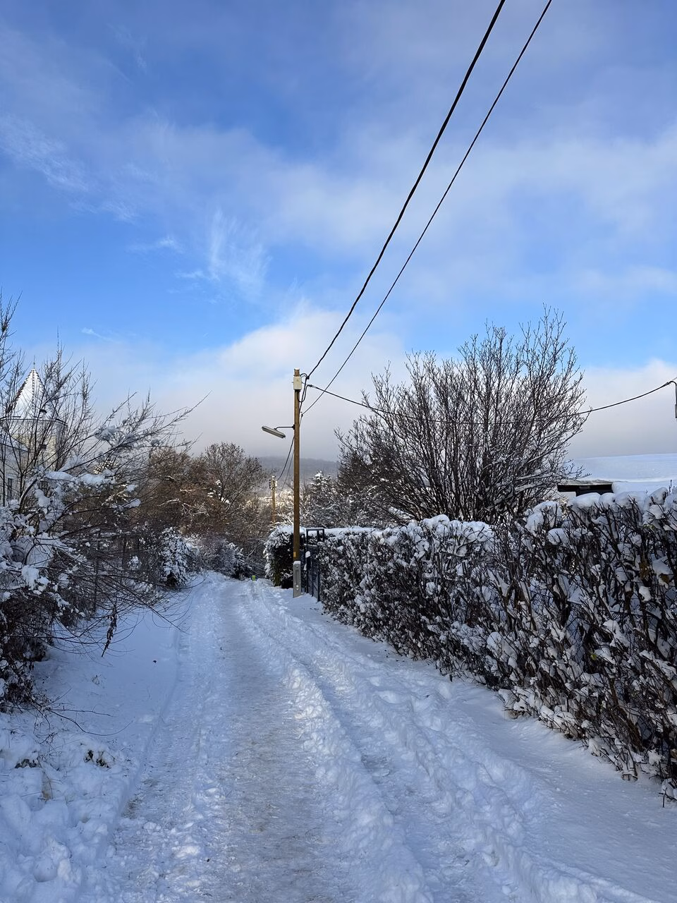 Hartlauer Schneewette 2025, Schnee in Wien