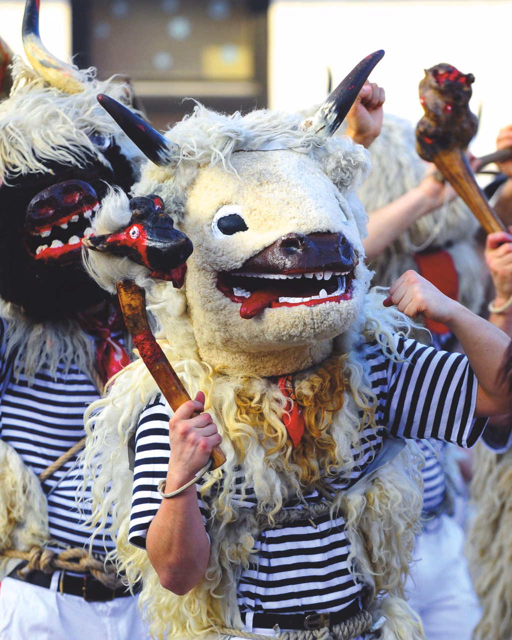 Die besten Fasching Geheimtipps