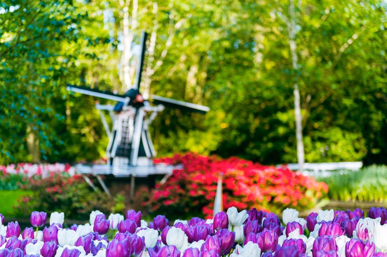 Keukenhof, Holland