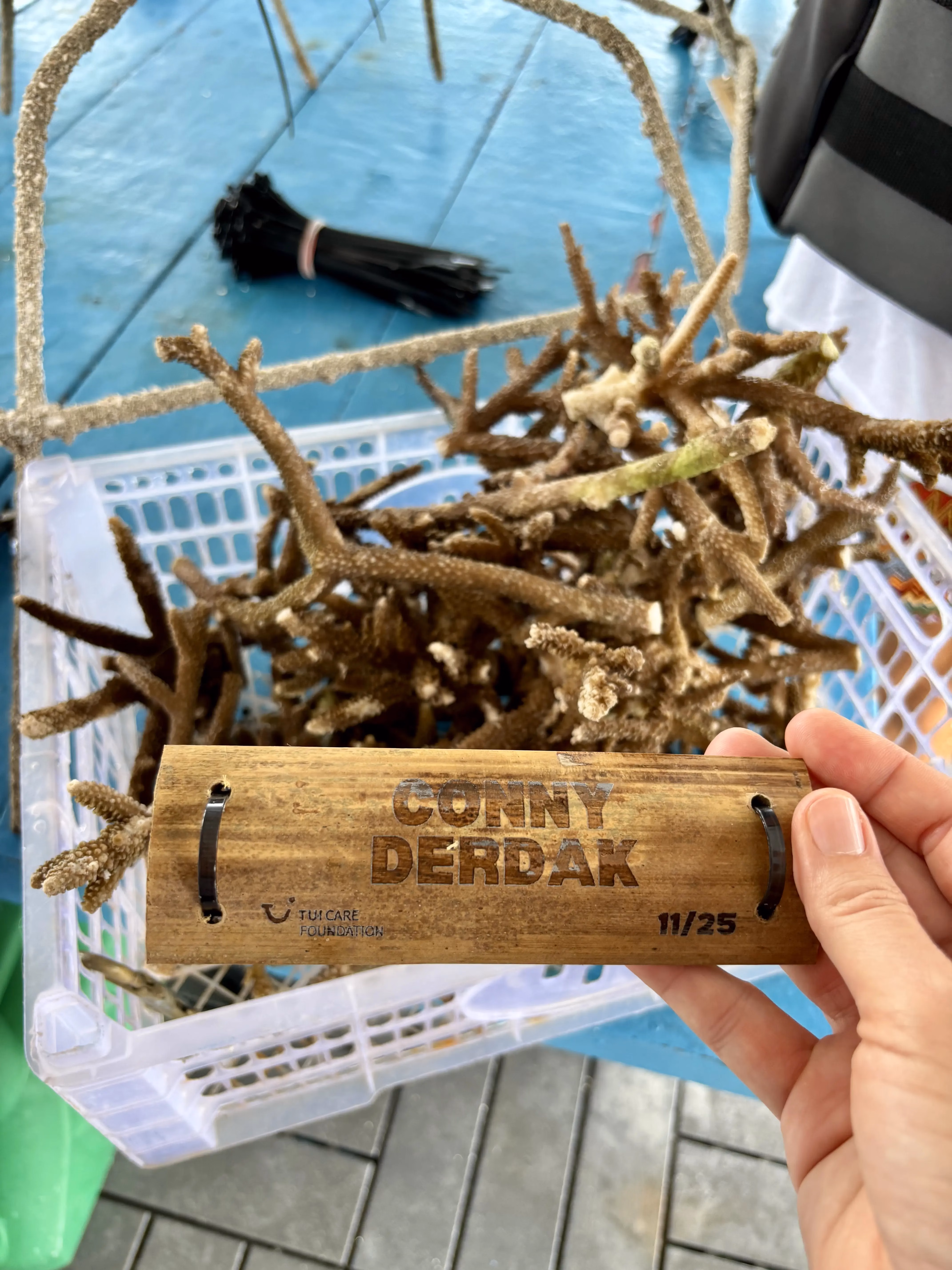 Das Namensschild wird auf dem eigenen Reef Star angebracht und mit ins Wasser geschickt