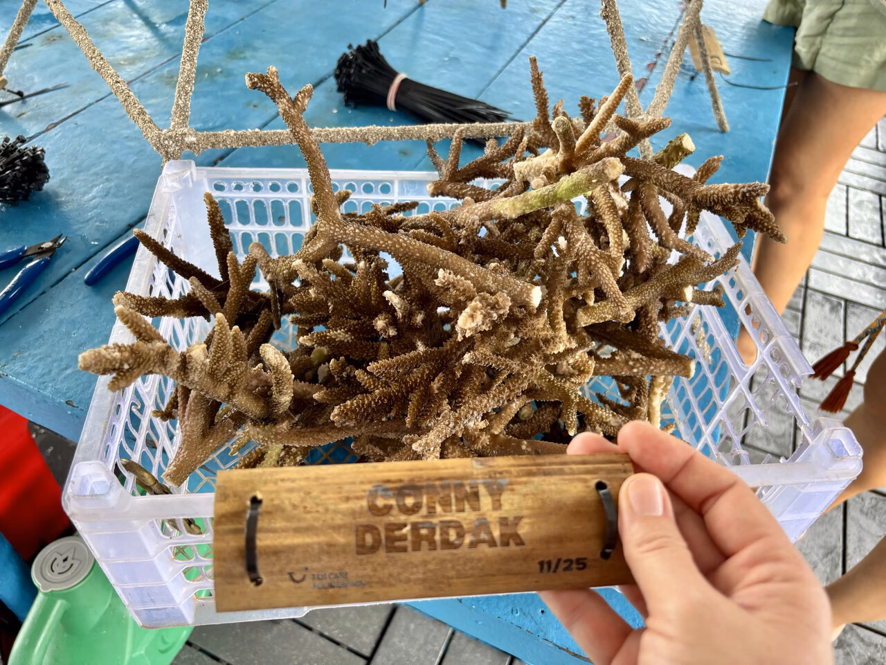 Das Namensschild wird auf dem eigenen Reef Star angebracht und mit ins Wasser geschickt. © Conny Derdak