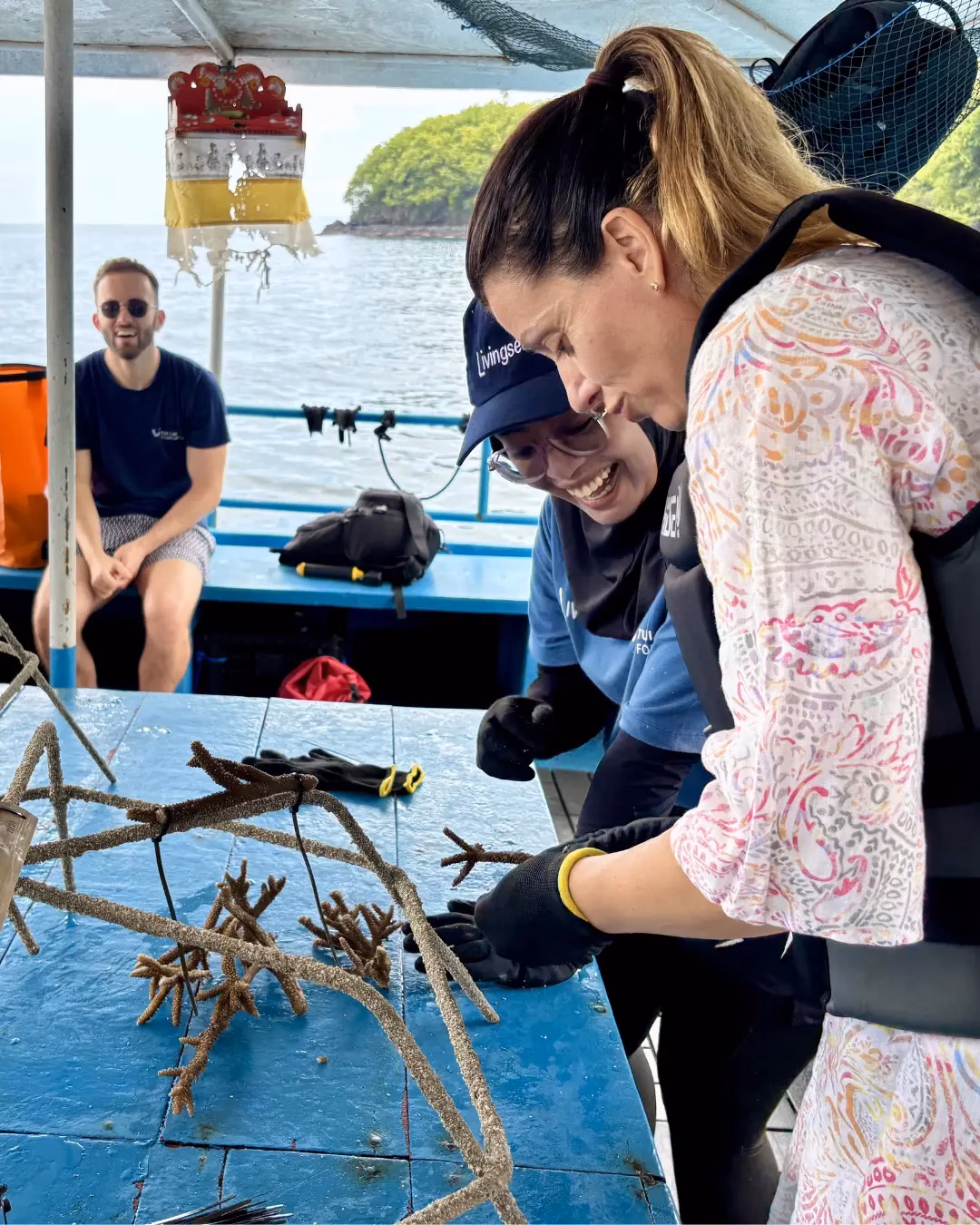 Leons Team zeigt den Besucherinnen und Besuchern, wie die Korallen an die Reef Stars angebracht werden