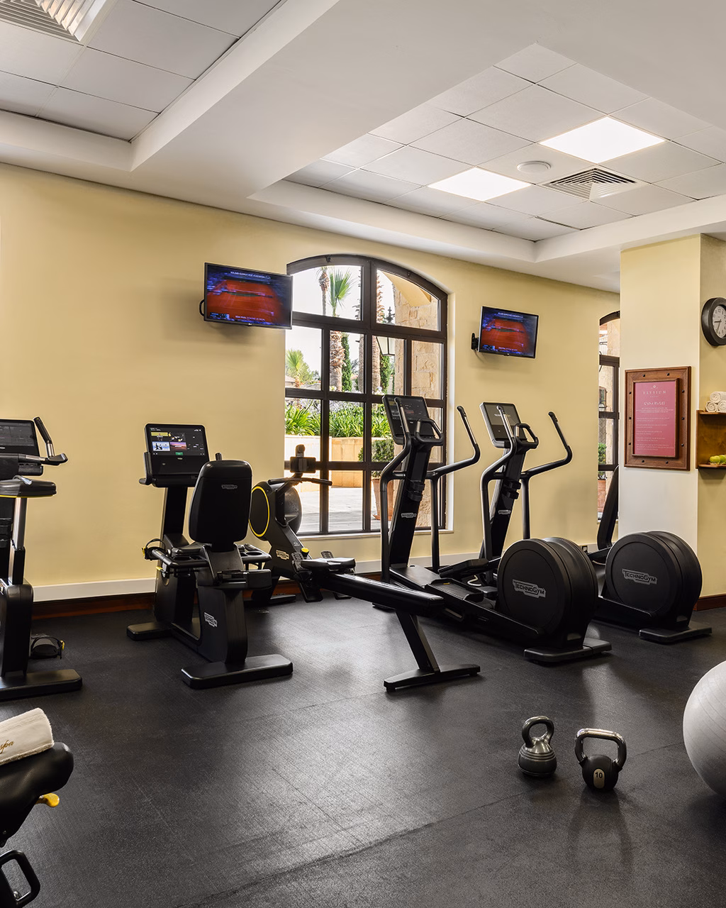 The Gym Elysium Hotel