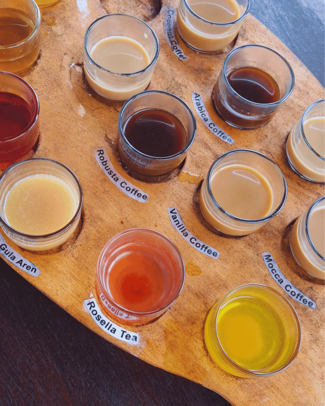Kaffeetasting in Bali
