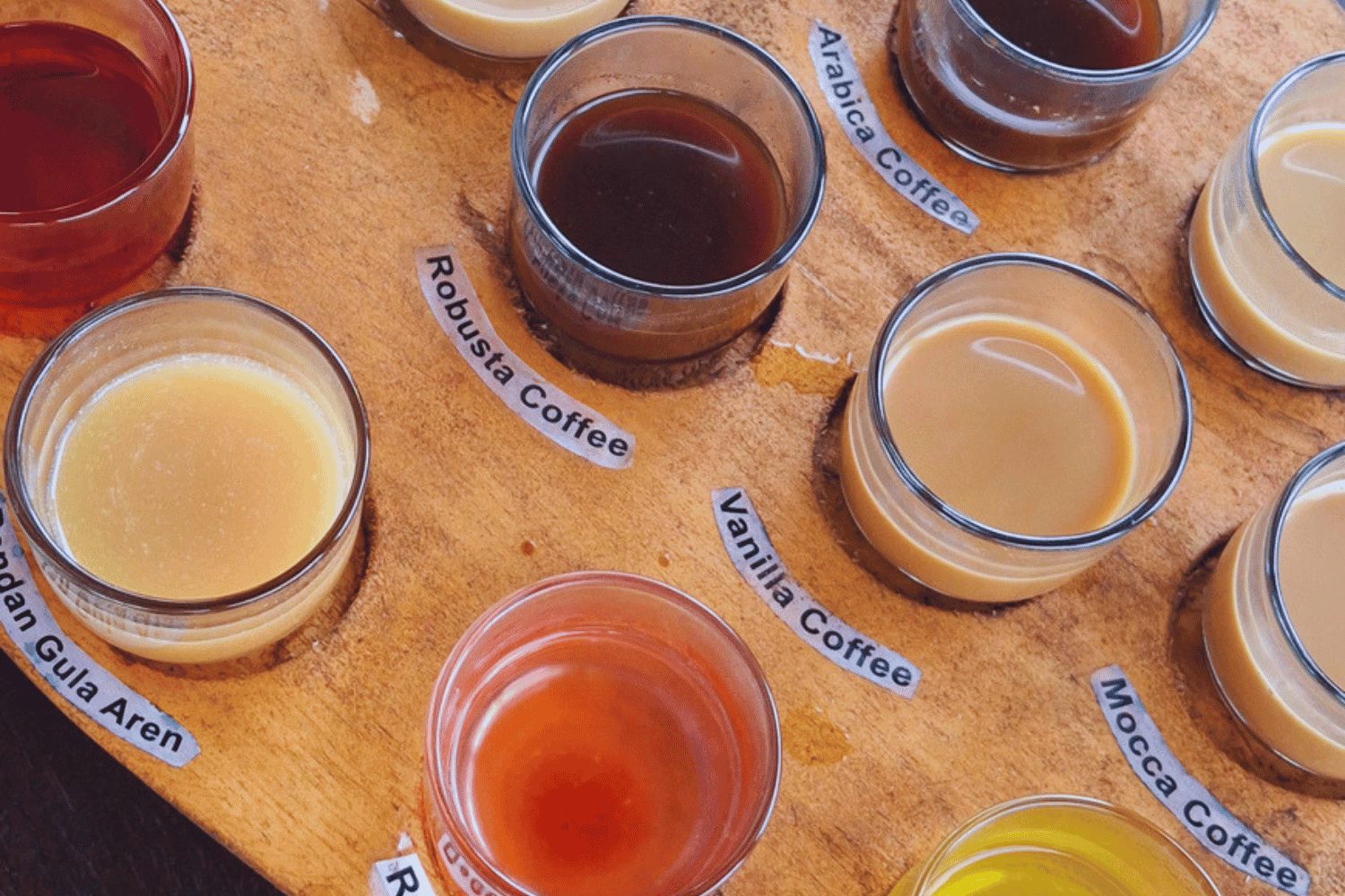 Kaffeetasting in Bali