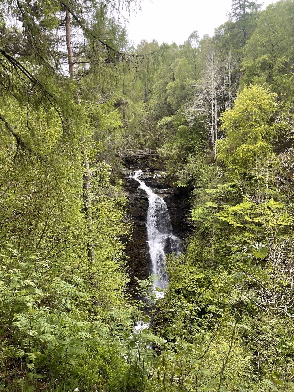 Birks of Aberfeldy