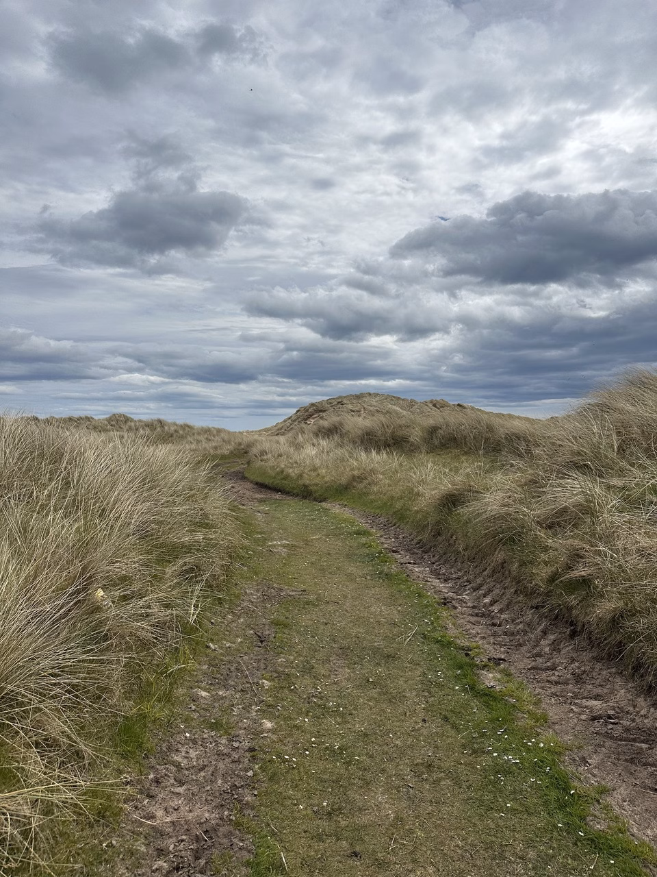 Einspurige Straße Schottland
