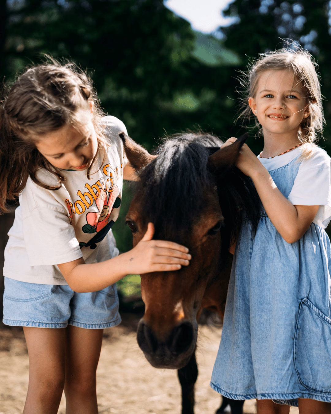 Ponys am Trattlerhof