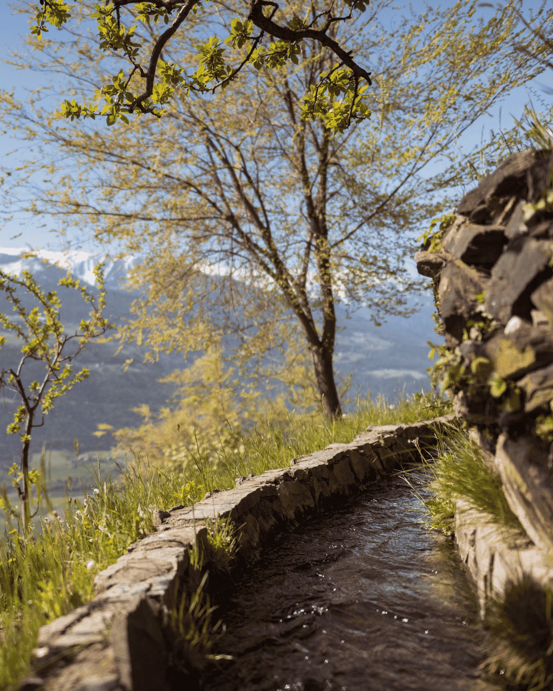 Villnösser Bergfrühling