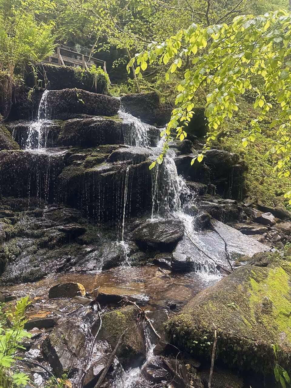 Birks of Aberfeldy