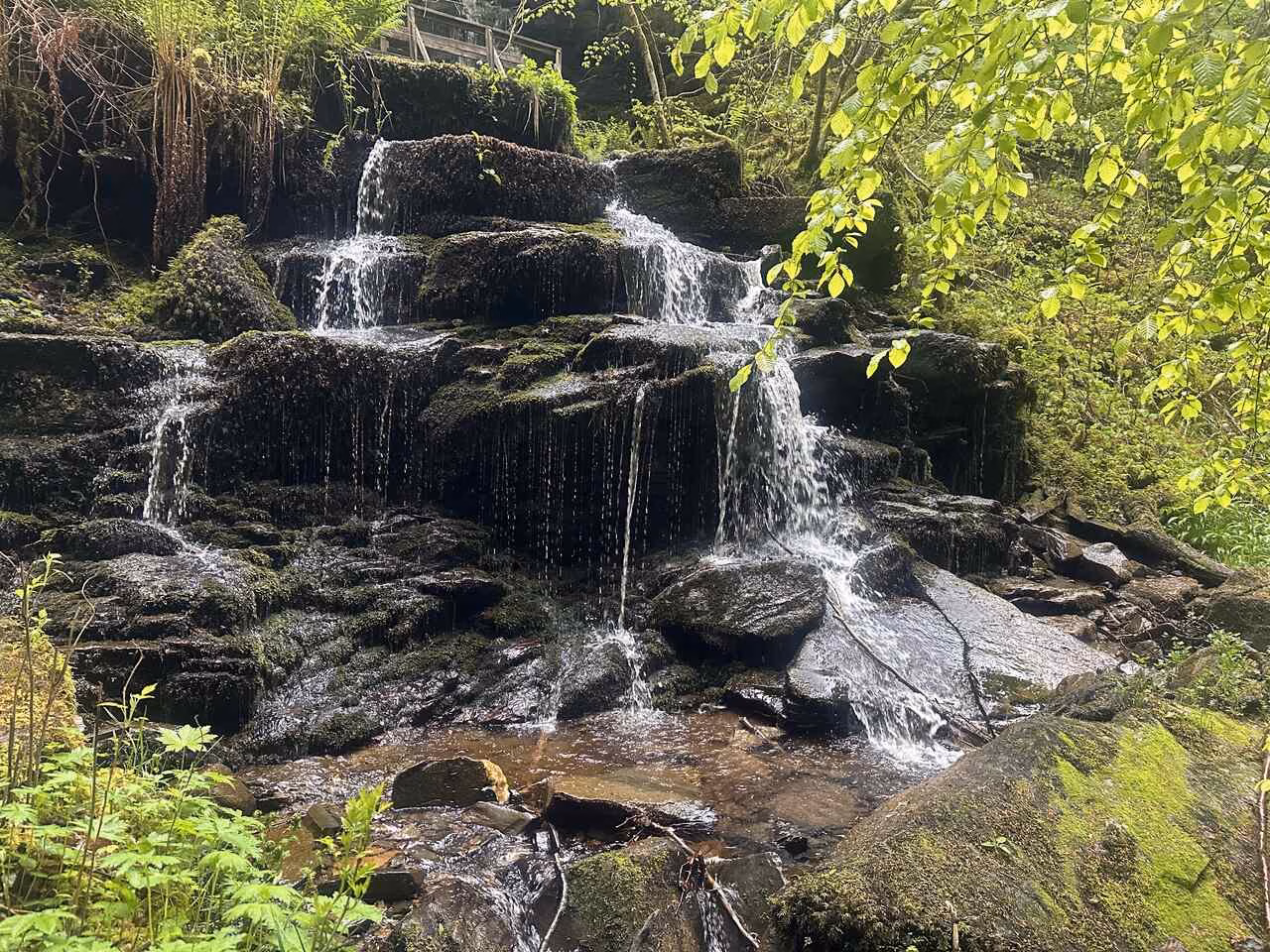 Birks of Aberfeldy
