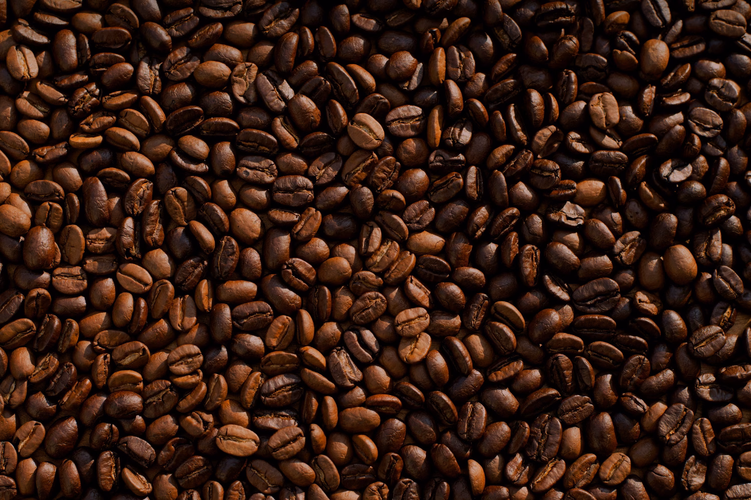 Kaffeebohne