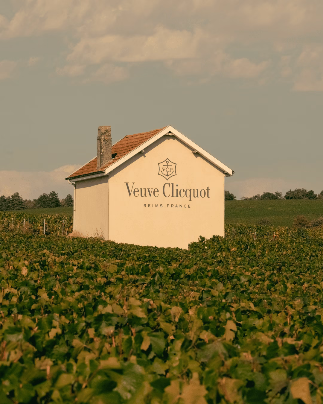 Weingut