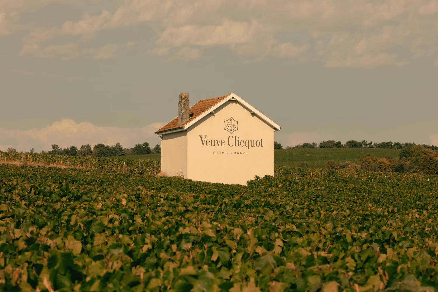 Veuve Cliquot