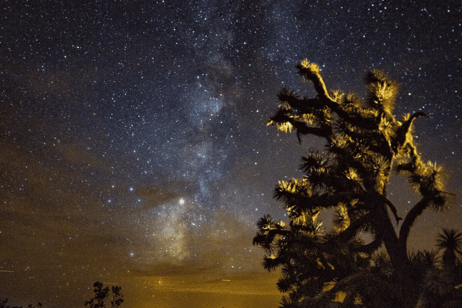 Full Moon Tourism Arizona