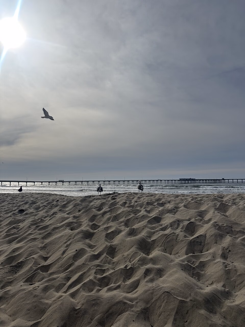 Ocean Beach San Diego
