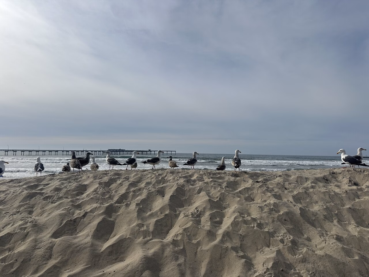 Ocean Beach San Diego