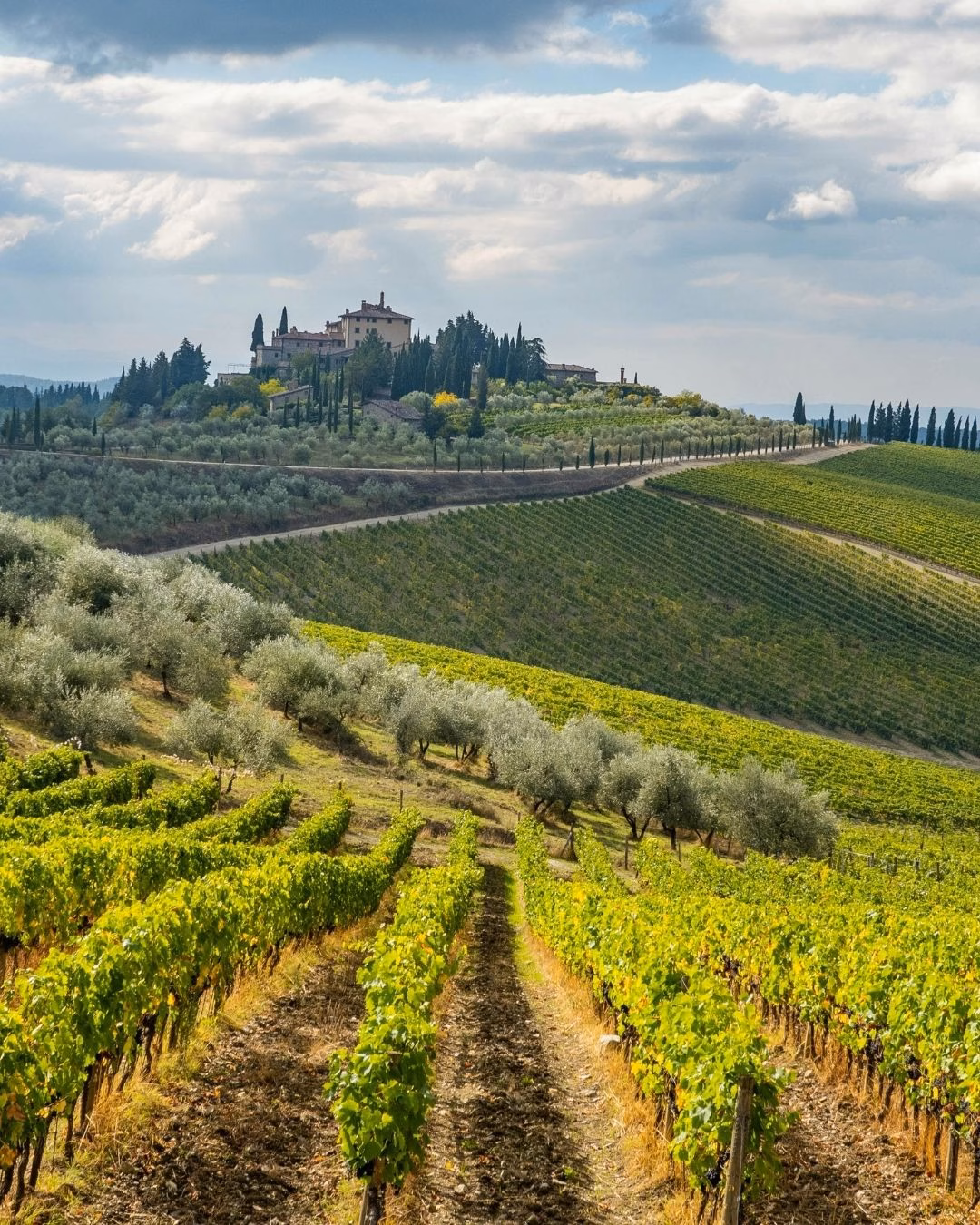 Laufen im Chianti