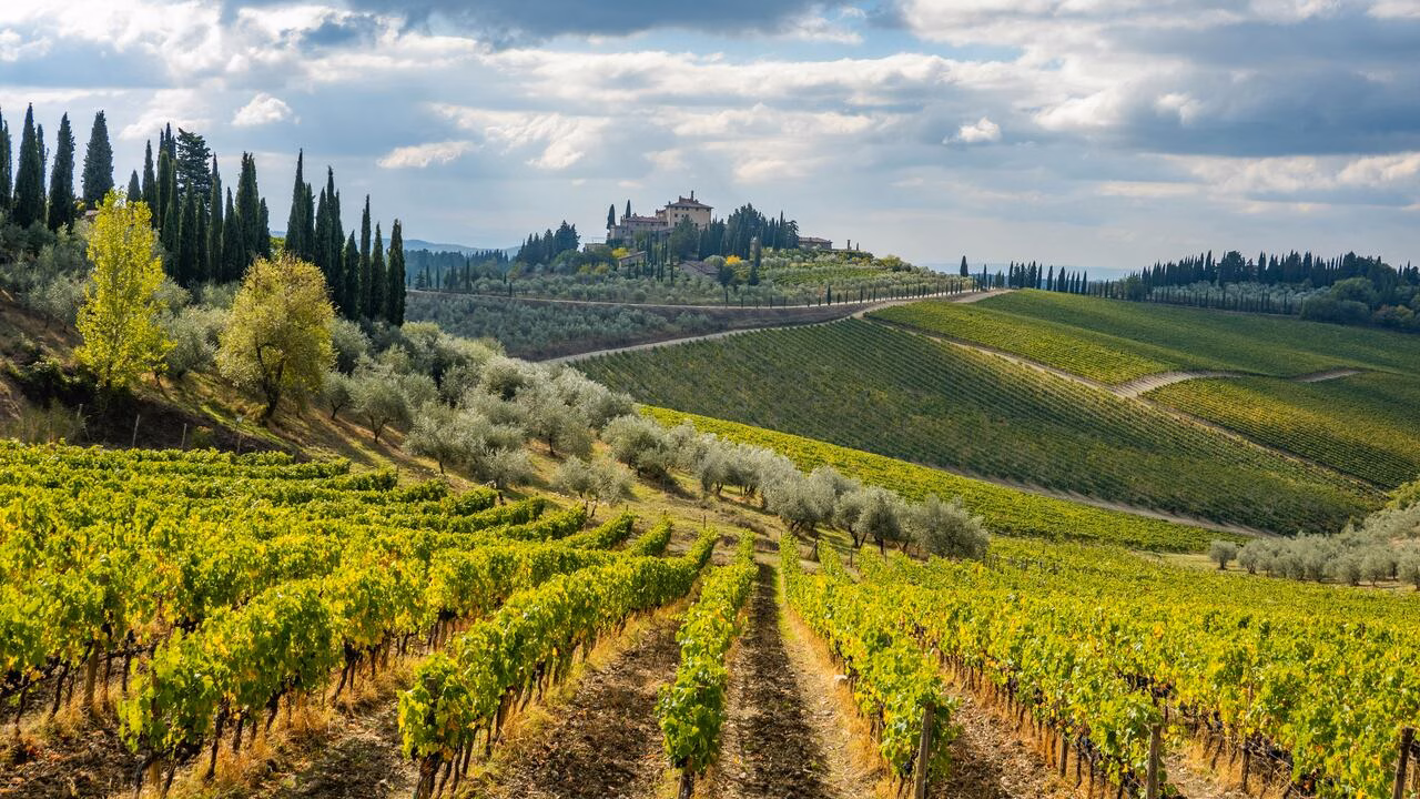 Laufen im Chianti
