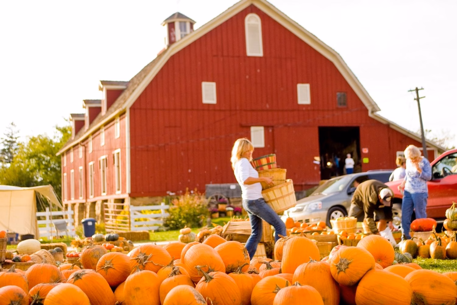 Illinois als Alternative zum Indian Summer