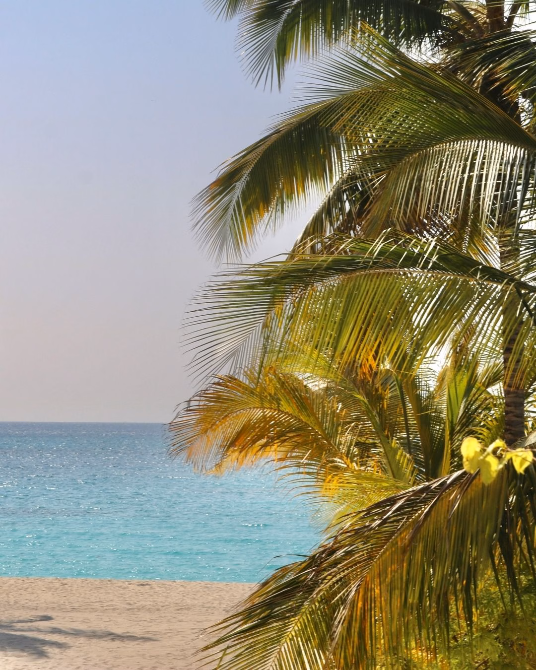 Sansibar Urlaub