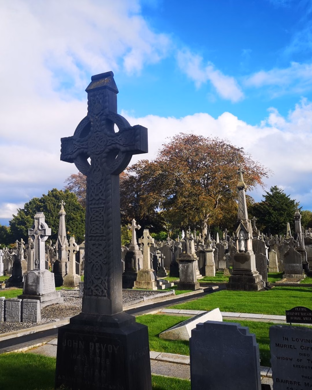 Haloween in Dublin