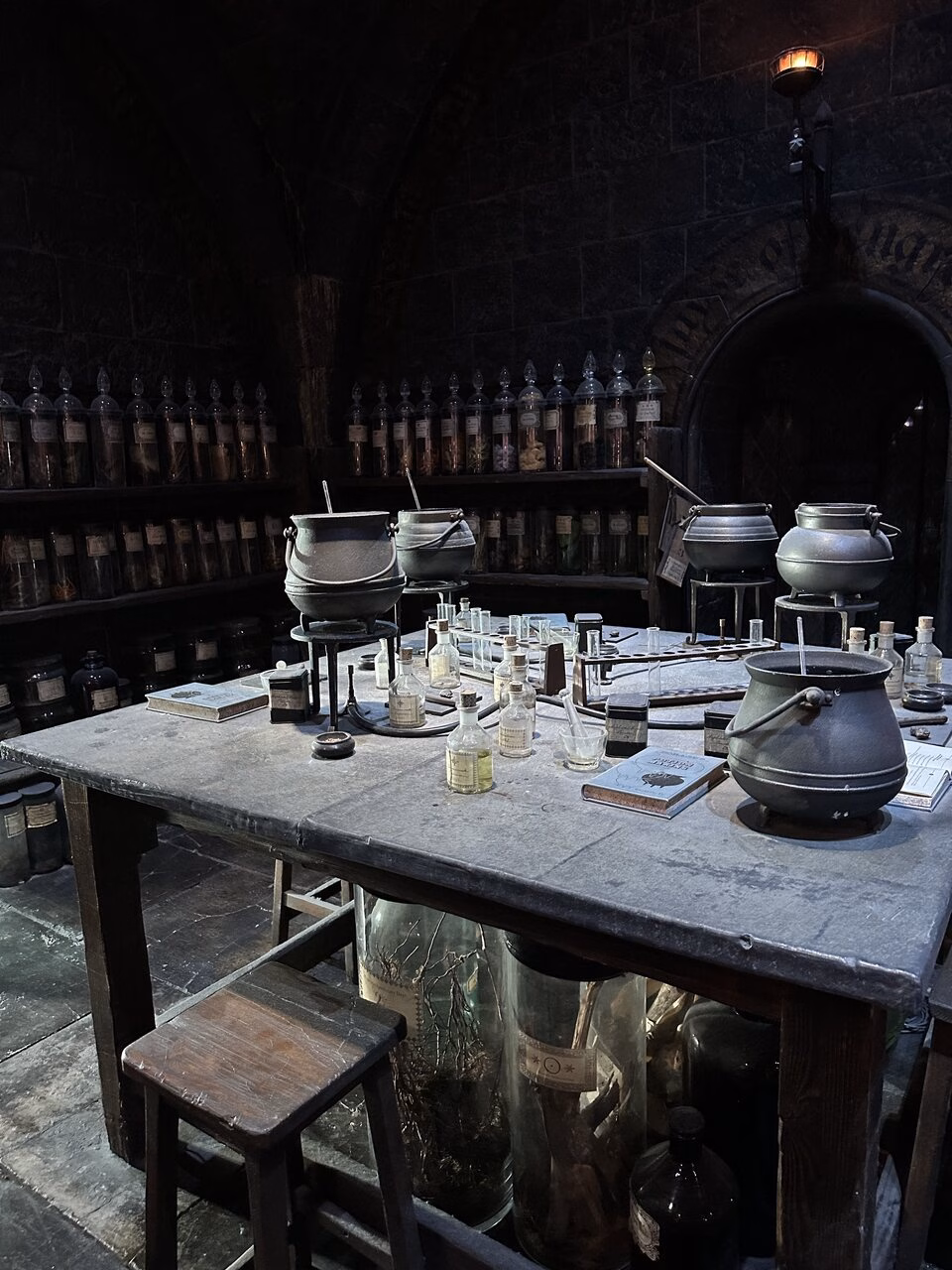 Potions Class Harry Potter